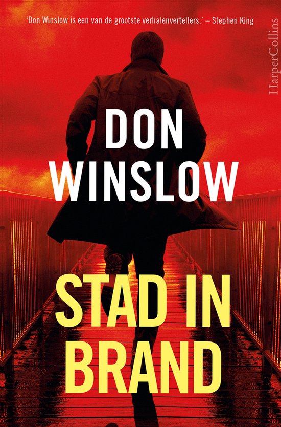 Danny Ryan 1 - Stad in brand - cover