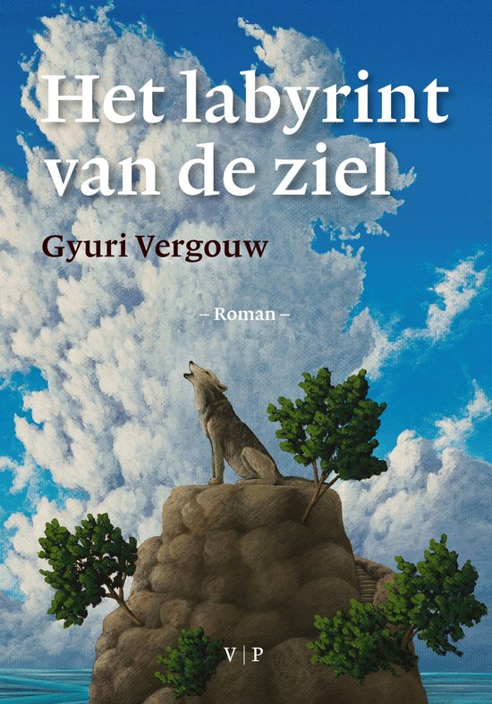 Het labyrint van de ziel - cover