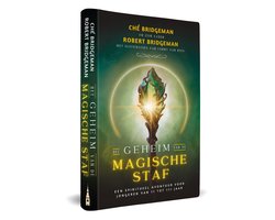 Omslag van Het geheim van de magische staf