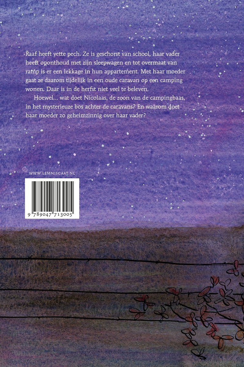 Het kleine heelal - back cover