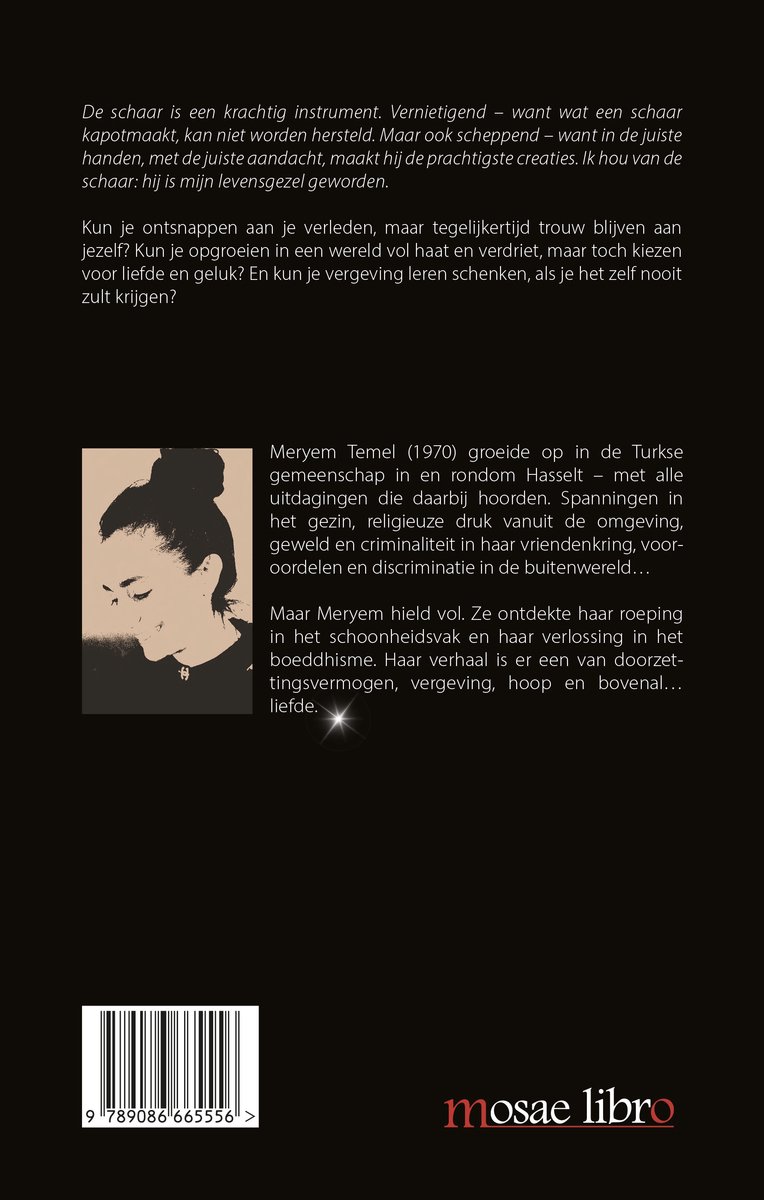 De kracht van de schaar - back cover