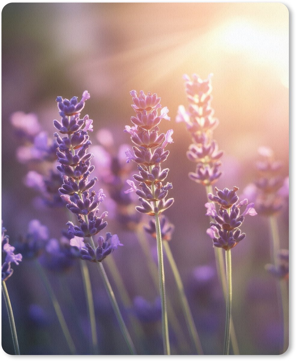Muismat 19x23 cm - Mousepad Lavendelbloemen - Paars - Zonlicht - Muismatten