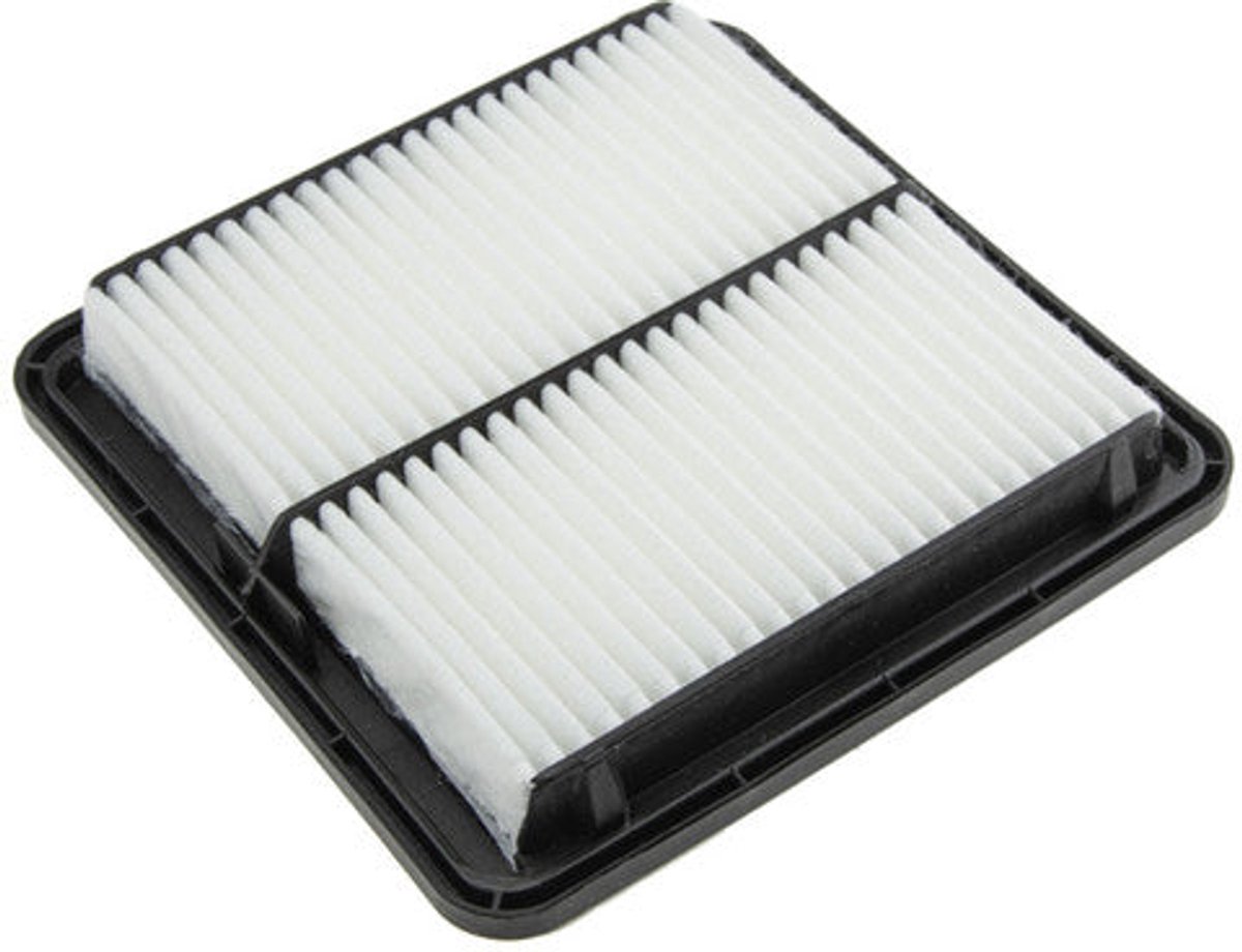 Luchtfilter OEM 16546-AA090