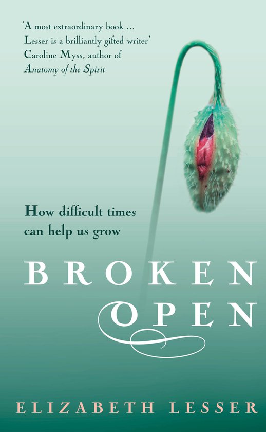 Broken Open - cover