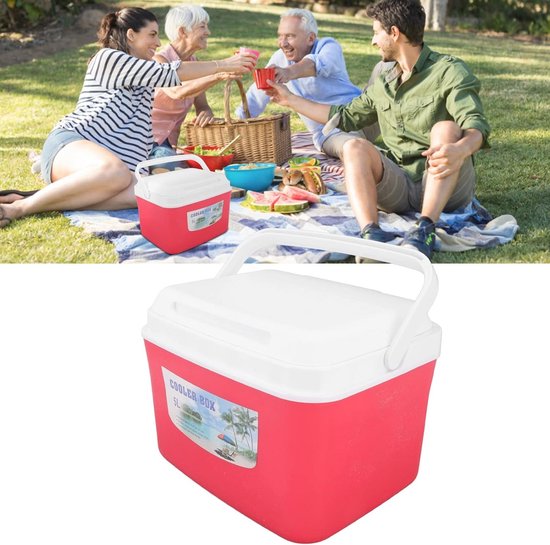 5L Draagbare Koelbox voor Voedsel en Geneeskunde - Lange Draagbare Isolatie voor Auto, Strand, Camping en Vissen — afbeelding 4