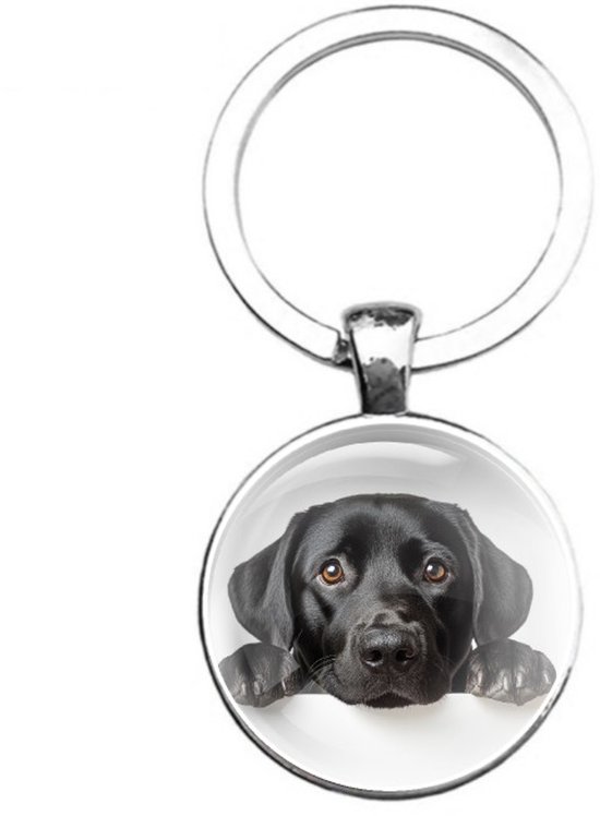 Sleutelhanger Glas | Labrador
