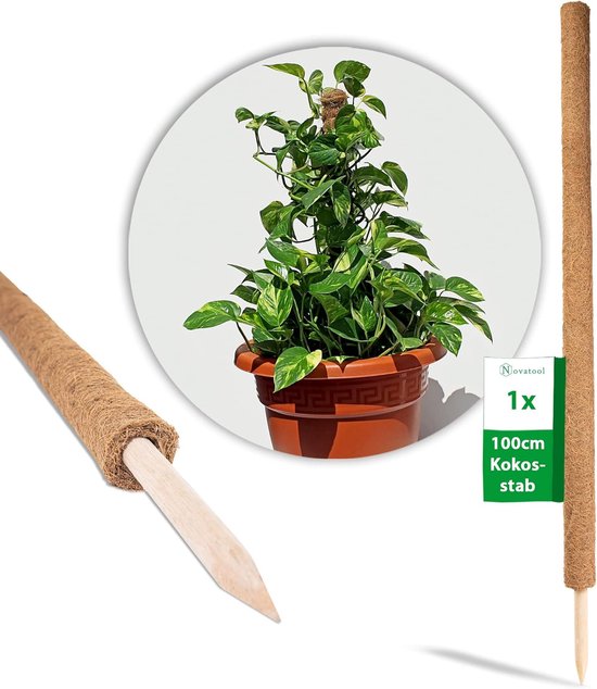 Foto: Plantenstok kokos 110 cm i 45 mm i uitschuifbaar i natuurlijke kokosvezels i plantenhouder i trellisstok i mosstok kokosstok