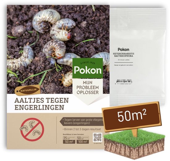 Aaltjes tegen plagen: wanneer gebruik je welk soort? 21 Pokon Aaltjes tegen Engerlingen - 25 miljoen aaltjes voor 50m² gazon - Binnen 2 tot 3 dagen resultaat