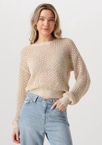 AAIKO Jaylee Co 460 Truien & vesten Dames - Sweater - Hoodie - Vest- Beige - Maat XXL