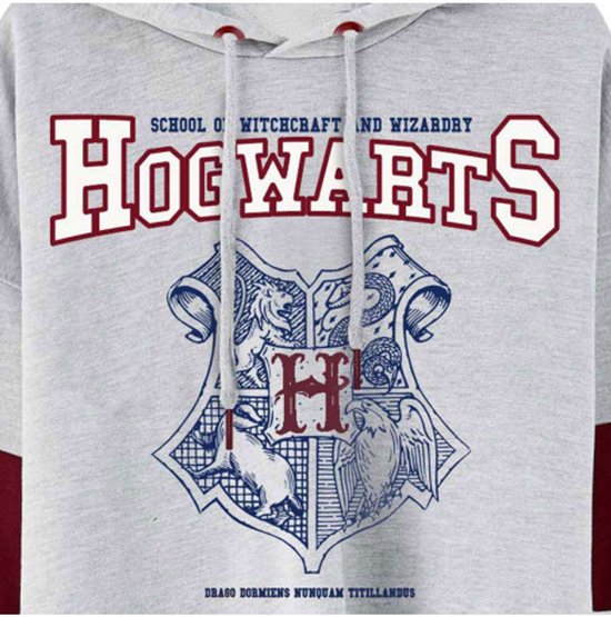 Sweat à capuche gris avec blason de Poudlard et texte "School of Witchcraft and Wizardry".
