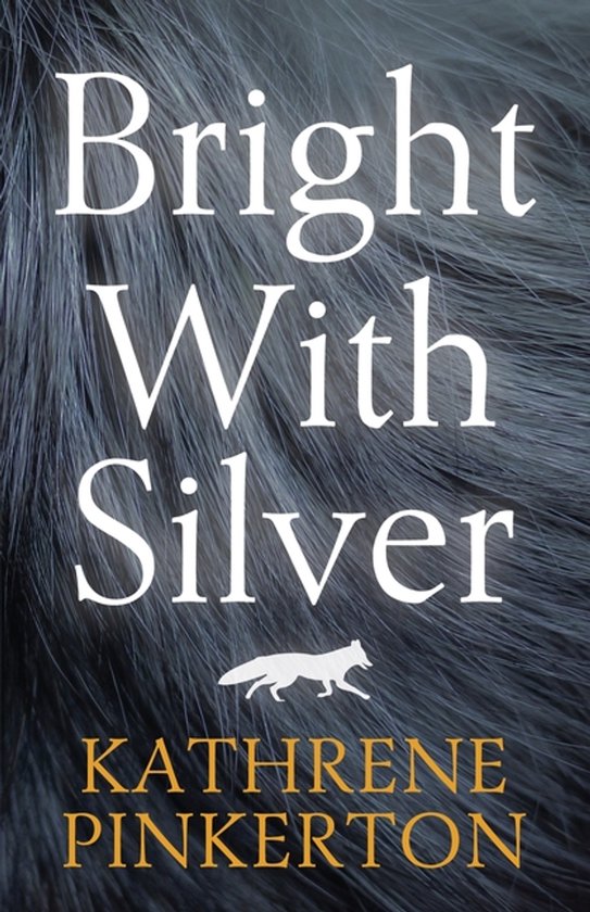 Bright with Silver - cover