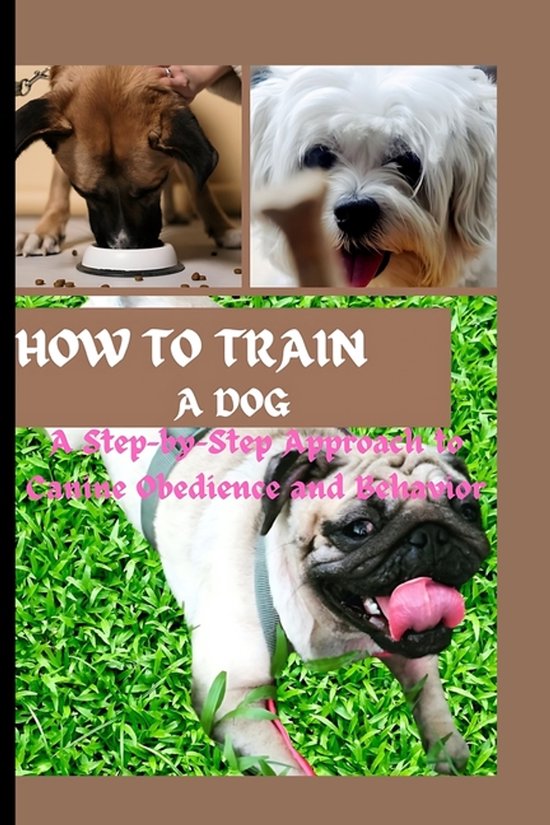 How to Train a Dog - cover