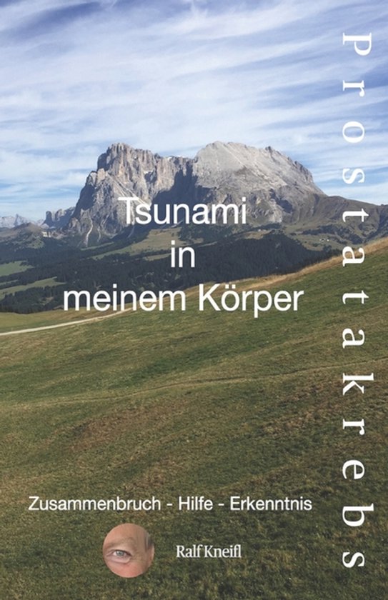 Tsunami in meinem Körper - Prostatakrebs - cover
