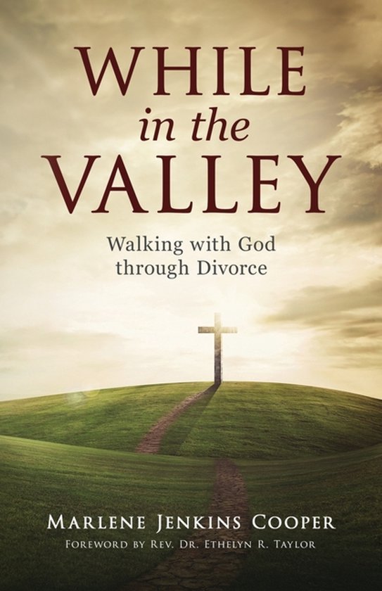 While In The Valley - cover
