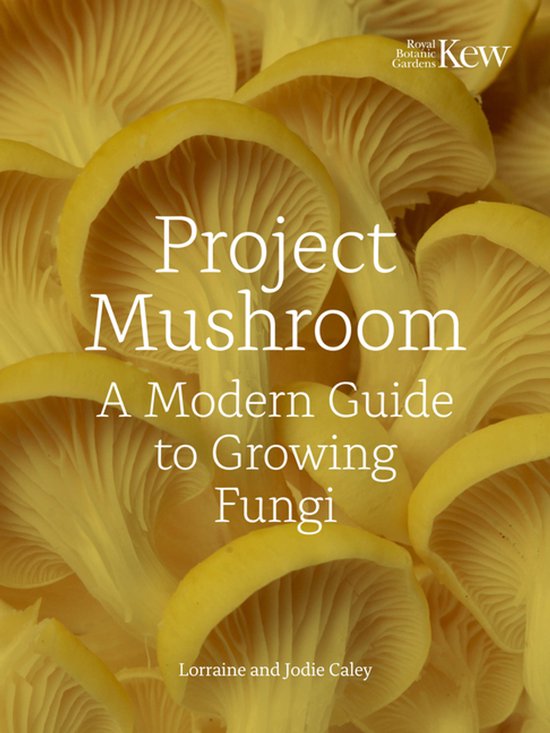 Project Mushroom - cover