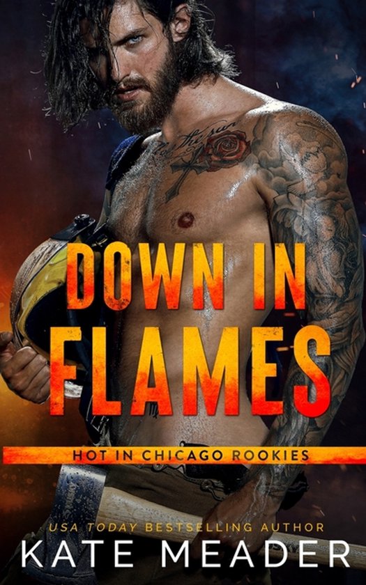 Hot in Chicago Rookies- Down in Flames (a Hot in Chicago Roo ... - cover