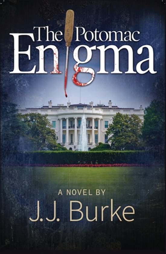 The Potomac Enigma - cover