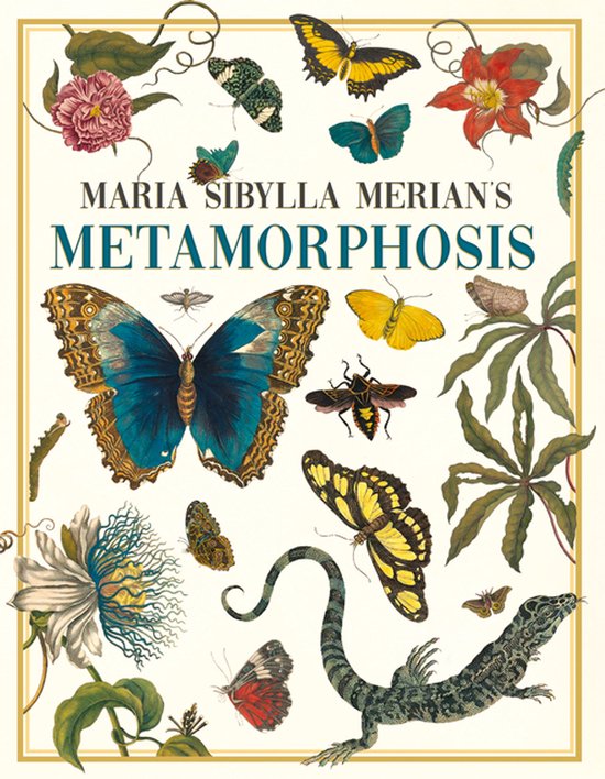 Maria Sibylla Merian's Metamorphosis - cover