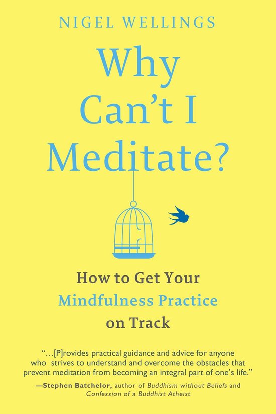 Why Can't I Meditate? - cover