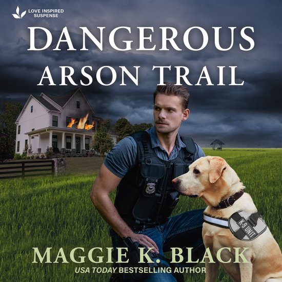 Dangerous Arson Trail - cover