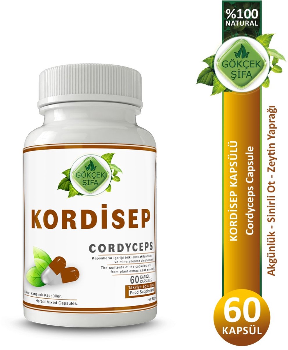 Goedkoopste Cordyceps Extract Capsule - 60 Capsules - Natuurlijk Antibioticum - 1 CAPSULE 1000 MG EXTRACT - Versterkt het Immuunsysteem - 60.000 mg Kruidenextract - Geen Toevoegingen - Beste Kwaliteit