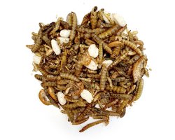 Premium insectenmix voor vissen 2,5 Liter