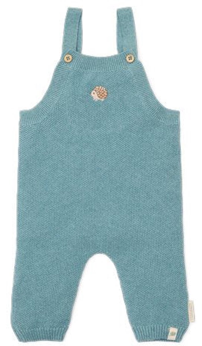 Little Dutch Boxpak - Maat 74 - Boxpakje Jongens - Baby Blue, Blauw - Forest Friends Newborn
