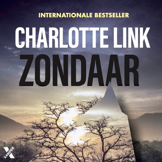 Zondaar - cover