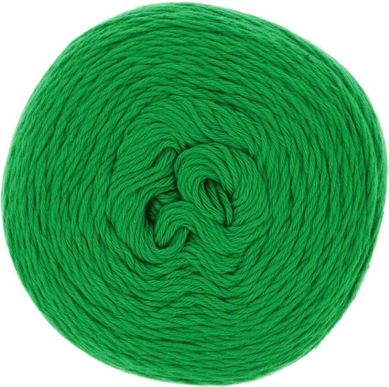 Scheepjes Whirlette - 857 Kiwi