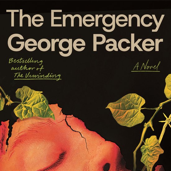 The Emergency - cover
