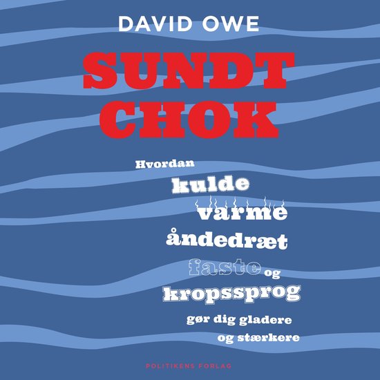 Sundt chok - cover