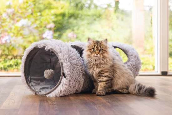 Cyperkat zit naast een grijze, pluizige kattentunnel met een speelbal eraan.