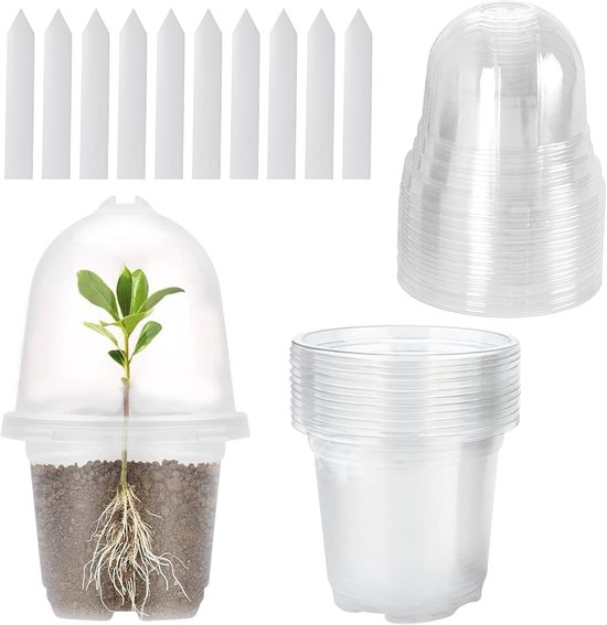 36 Stuks Doorzichtige Plastic Plantenpotten 10 Cm Voor Het Oppotten Van Orchideeen Zaailingen Vetplanten Kruiden Indoor En Outdoor