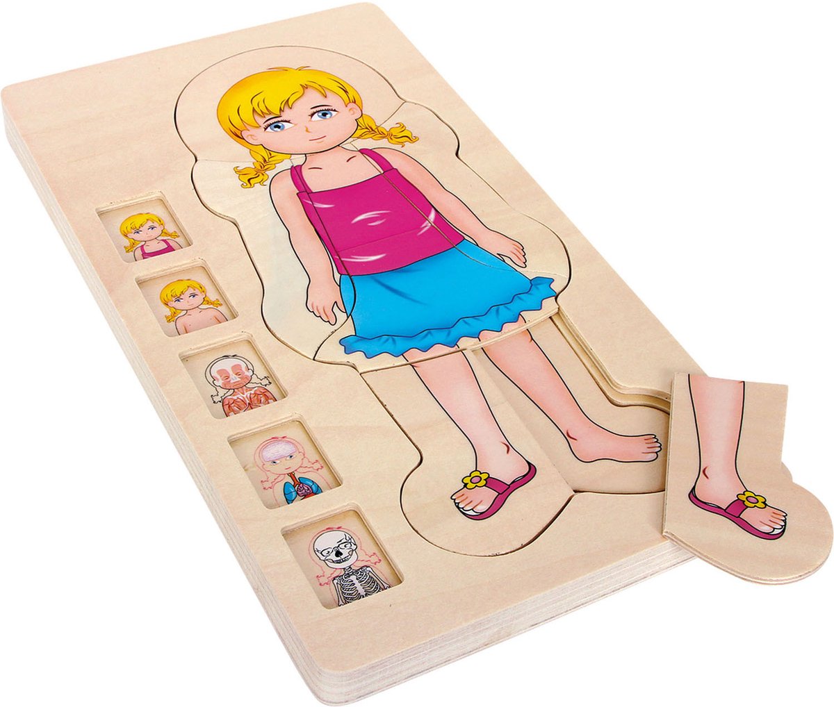 Small Foot vormenpuzzel Anatomie junior hout 28 stukjes