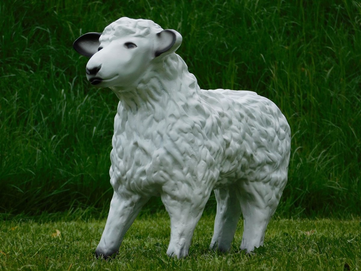 Beeld Schaap - 50 cm - Polystone
