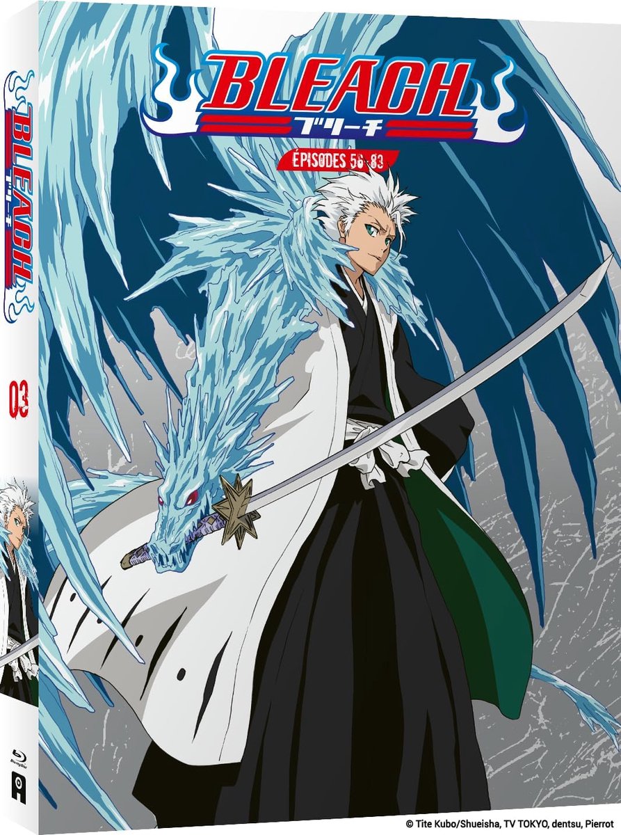 Bleach - Partie 3 (Édition Collector)