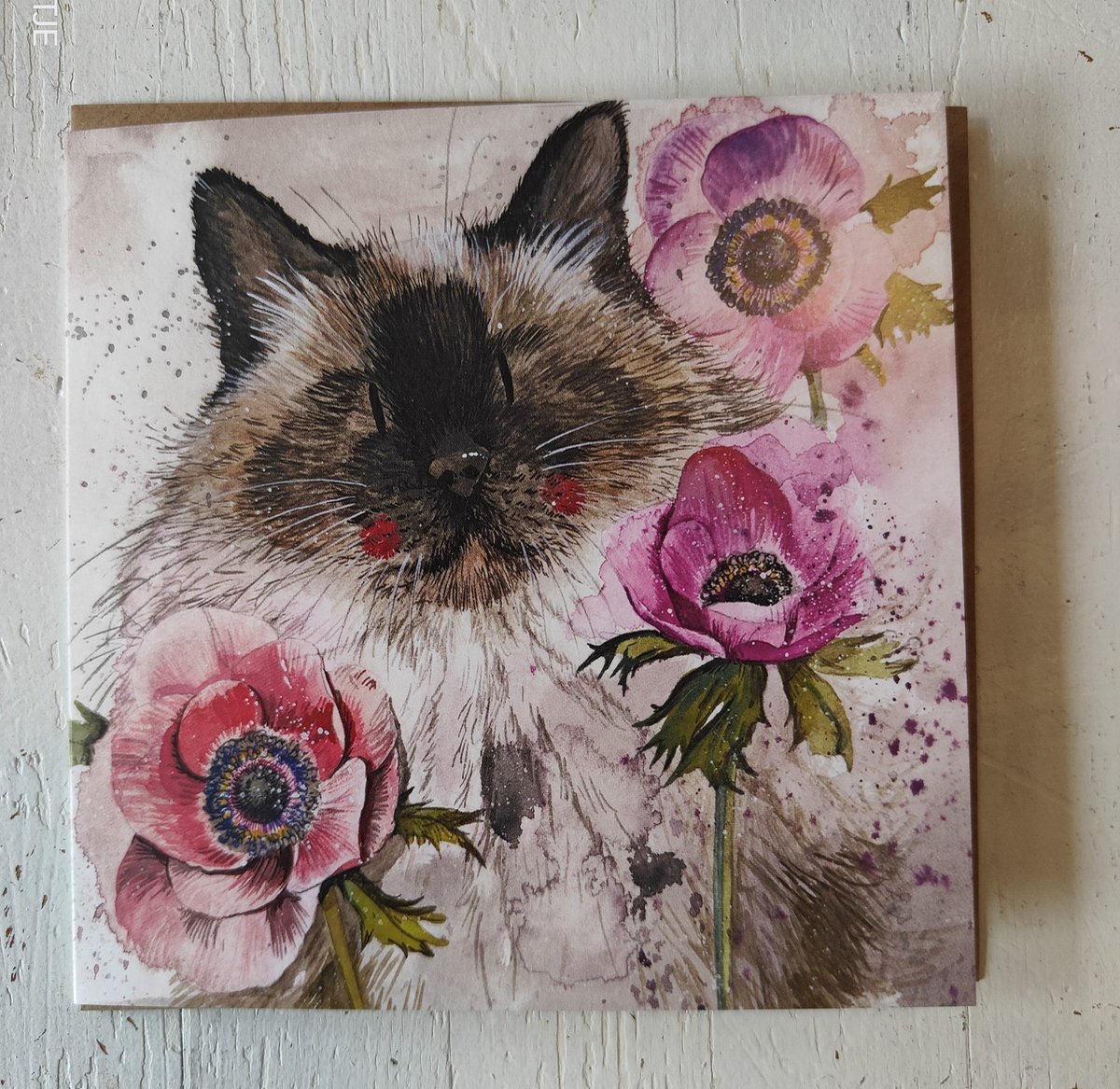 Katdootje - Kaart - Bloemen met poes