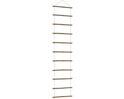vidaXL - Wanddecoratie - laddervormig - 50x200 - cm - naturel - tak