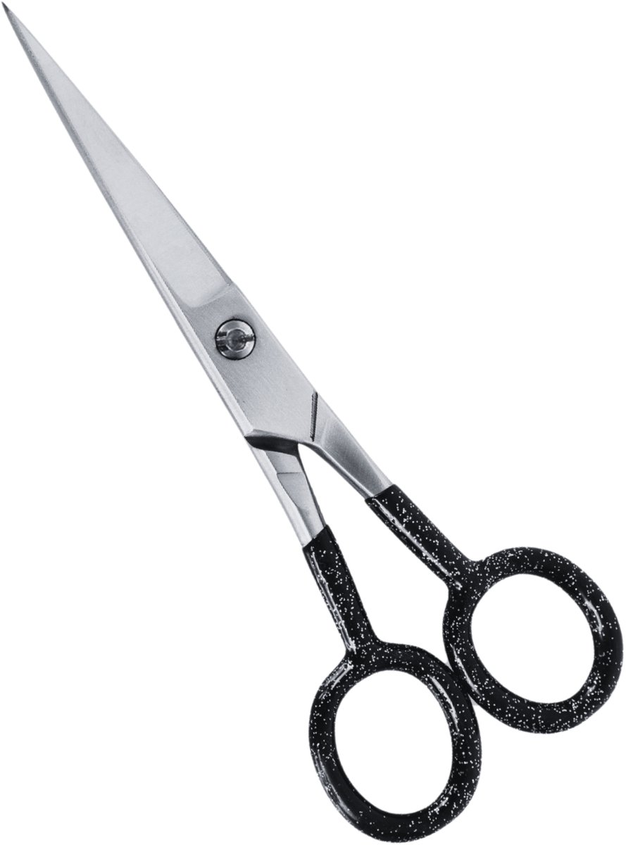 Guardian Beauty Schaar - 6 Inch - Roestvrij Staal - Knipschaar met Gratis Etui - Kappersgereedschap