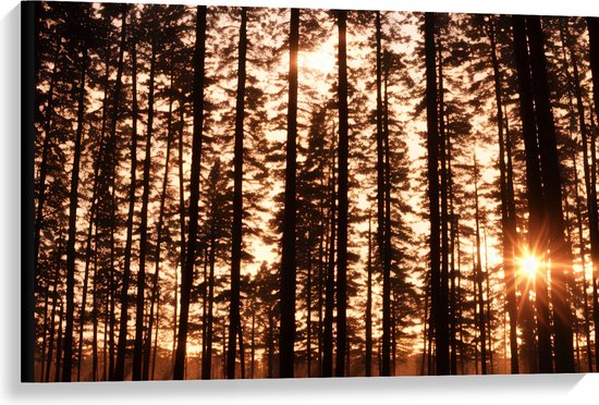 Canvas - Felle Zonnestralen van Zonsondergang door Silhouetten van Smalle Bomen - 90x60 cm Foto op Canvas Schilderij (Wanddecoratie op Canvas)