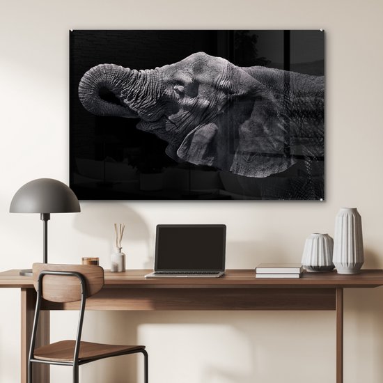 MuchoWow® Peinture sur verre - Éléphant - Animaux - Zwart - Nature - 90x60 cm - Peintures sur verre acrylique - Photo sur Glas