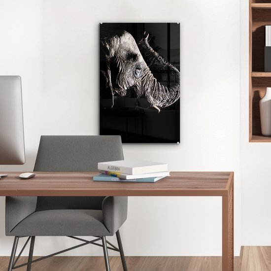 MuchoWow® Peinture sur verre 40x60 cm - Peinture sur verre acrylique - Éléphant - Zwart - Animaux - Nature - Photo sur verre - Peintures