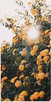 Poster Glanzend – Bloemen - Planten - Groen - Oranje - Zon - 50x100 cm Foto op Posterpapier met Glanzende Afwerking