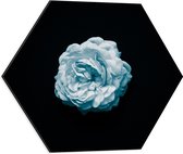 Dibond Hexagon - Bloem - Bladeren - Blauw - Zwart - 50x43.5 cm Foto op Hexagon (Met Ophangsysteem)