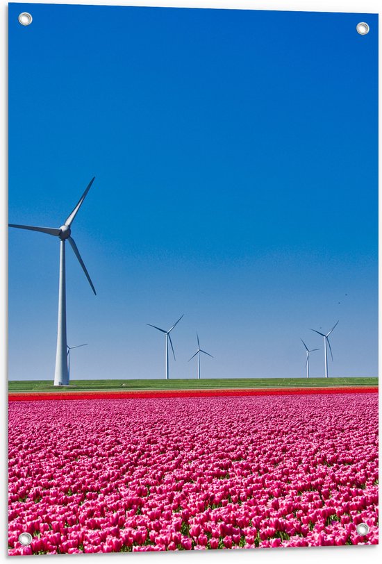 Tuinposter – Bloemen - Bloemenveld - Tulpen - Landschap - Windmolens - Nederland - Kleuren - 60x80 cm Foto op Tuinposter (wanddecoratie voor buiten en binnen)