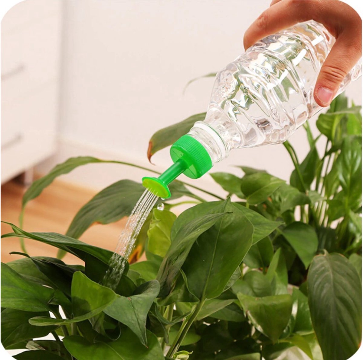 CHPN - Gieter - Flessengieter - Gieterdop - Plantenfles - Gieterfles - Broeskop - Groen - Plantenspuit -