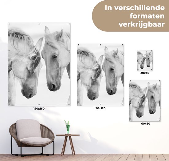 Tableau jardin Cheval - Animaux - Portrait - Wit - 60x80 cm - Affiche jardin - Toile jardin - Affiche extérieur