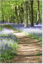 Muurdecoratie Bos - Pad - Bloemen - Paars - Groen - Natuur - 120x180 cm - Tuinposter - Tuindoek - Buitenposter