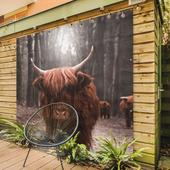 Affiche de Jardin Highlander écossais - Animaux - Vaches - 200x200 cm