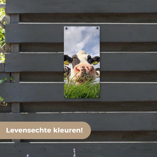 Poster de jardin Vache - Ferme - Herbe - Animaux - 30x60 cm - Toile jardin - Poster extérieur